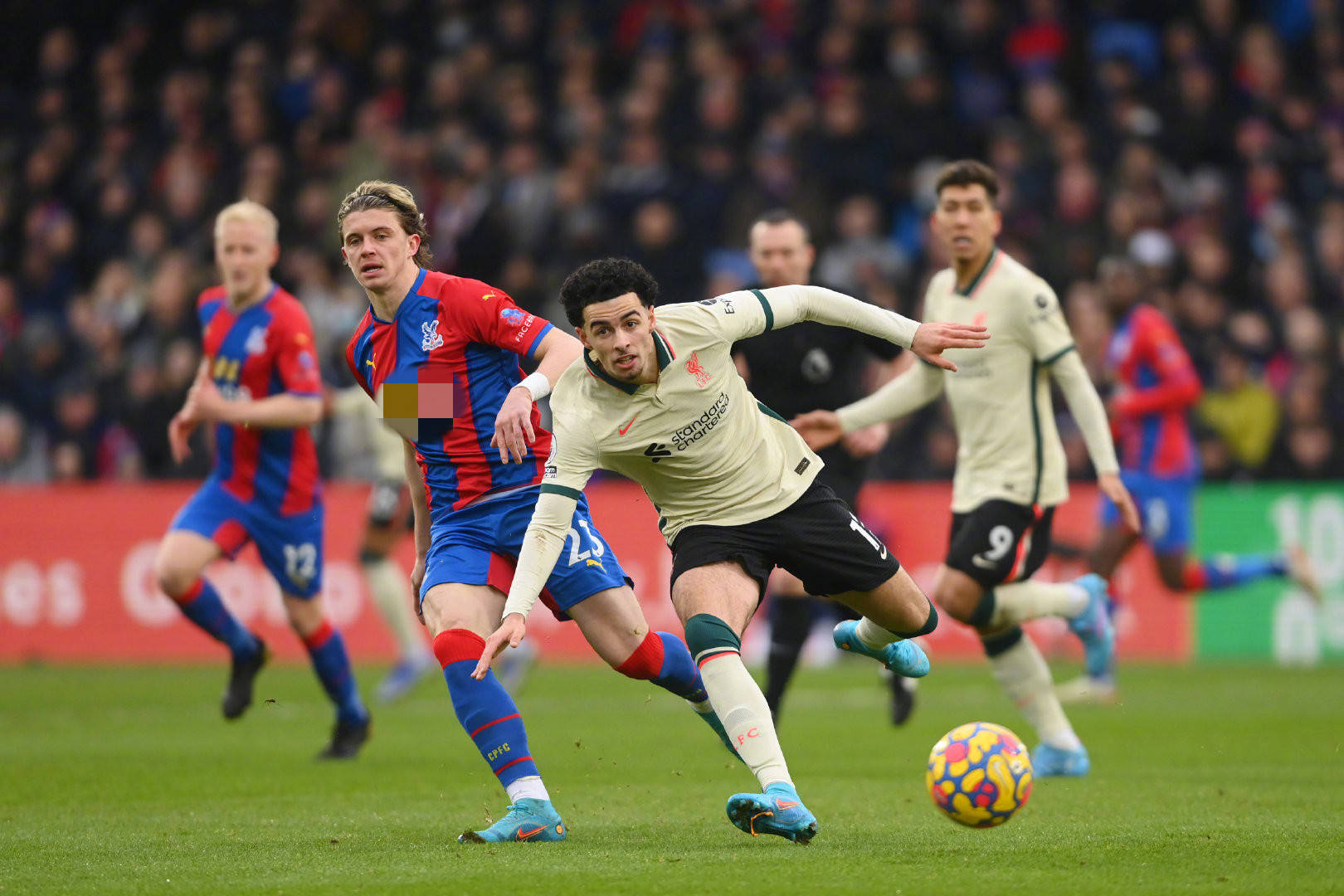 马略卡全场 马略卡全场